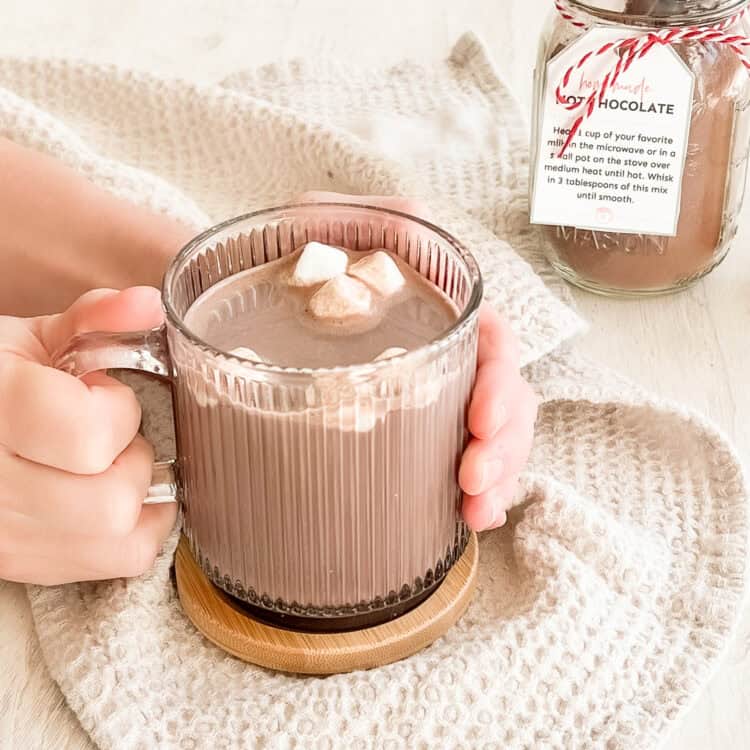 Two hands holding a glass mug of homemade hot chocolate with mini marshmallows.