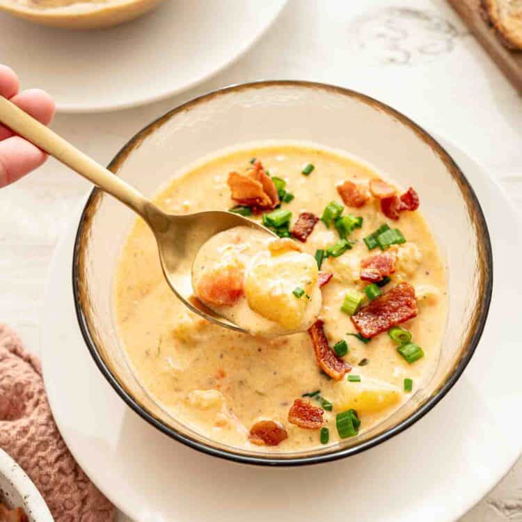 A bowl of cheddar and bacon potato soup with a spoon lifting out a bite.