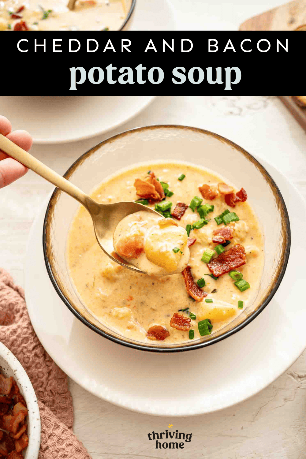 A bowl of cheddar and bacon potato soup.