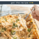 A spoon lifting a serving of chicken broccoli alfredo bake from a square pan.