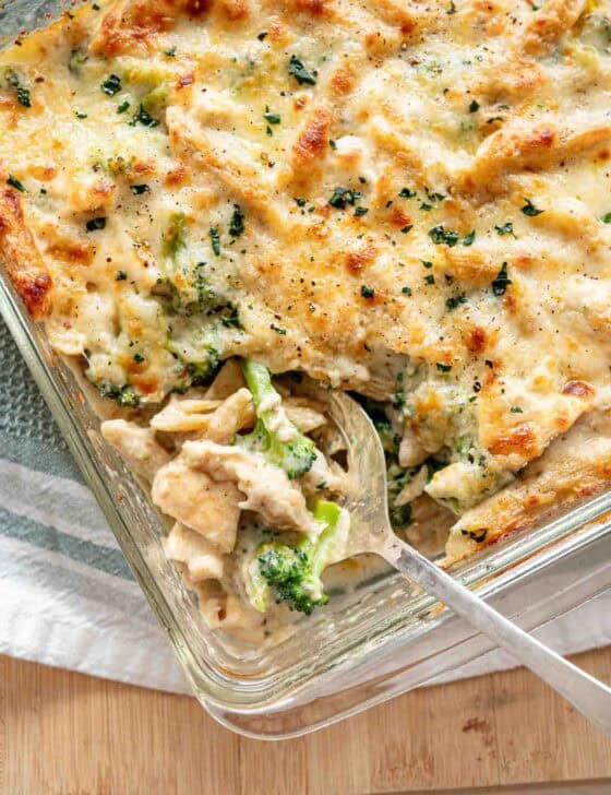 A serving of chicken broccoli alfredo bake being lifted out of a baking dish with a spoon.