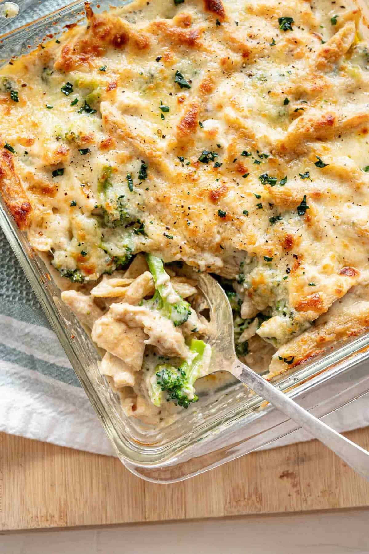 A serving of chicken broccoli alfredo bake being lifted out of a baking dish with a spoon.