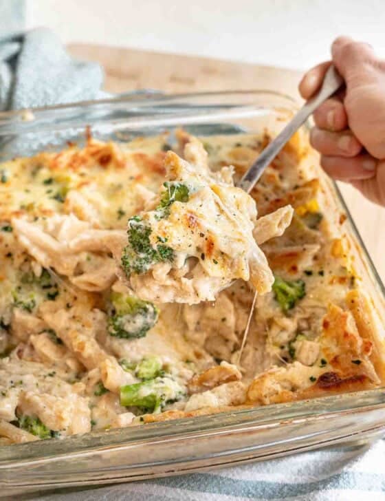 Chicken broccoli alfredo bake being served from a glass baking dish.