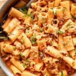 Rigatoni in a creamy tomato sauce ready to serve.