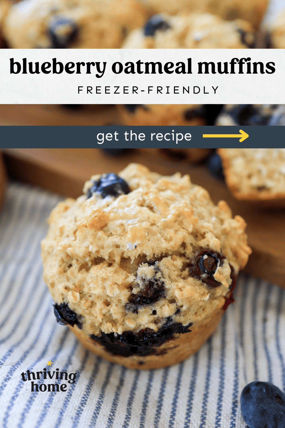 A blueberry oatmeal muffin with more muffins in the background.