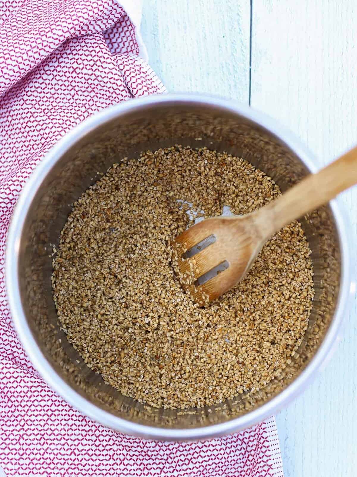 Toasted steel cut oats in an instant pot.