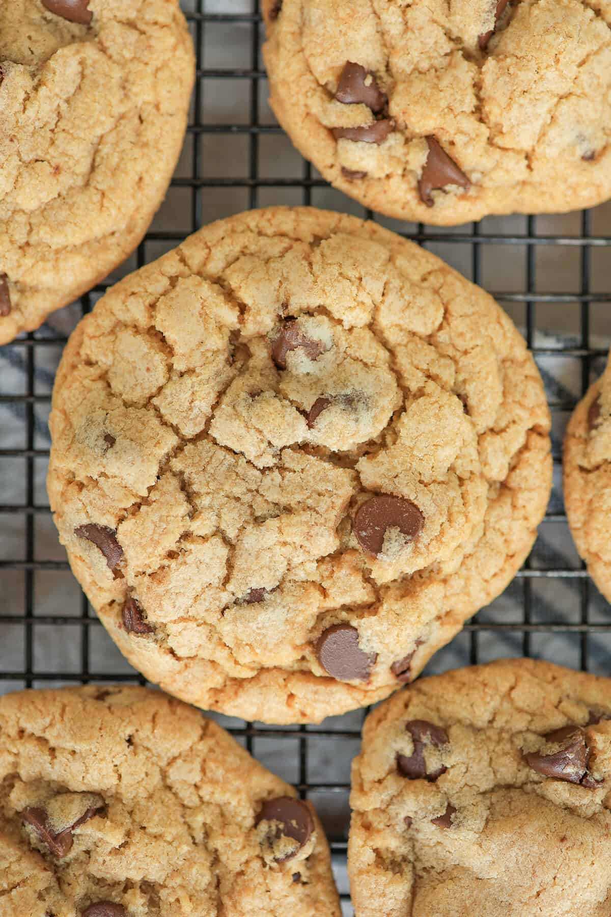 Whole wheat chocolate chip cookies on a baking rack.