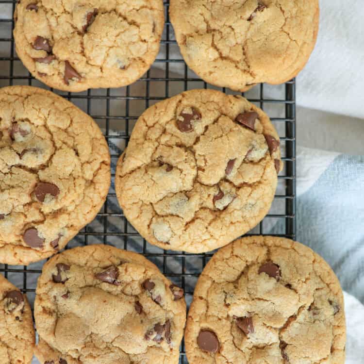 Chocolate chip cookies on a baking rack.