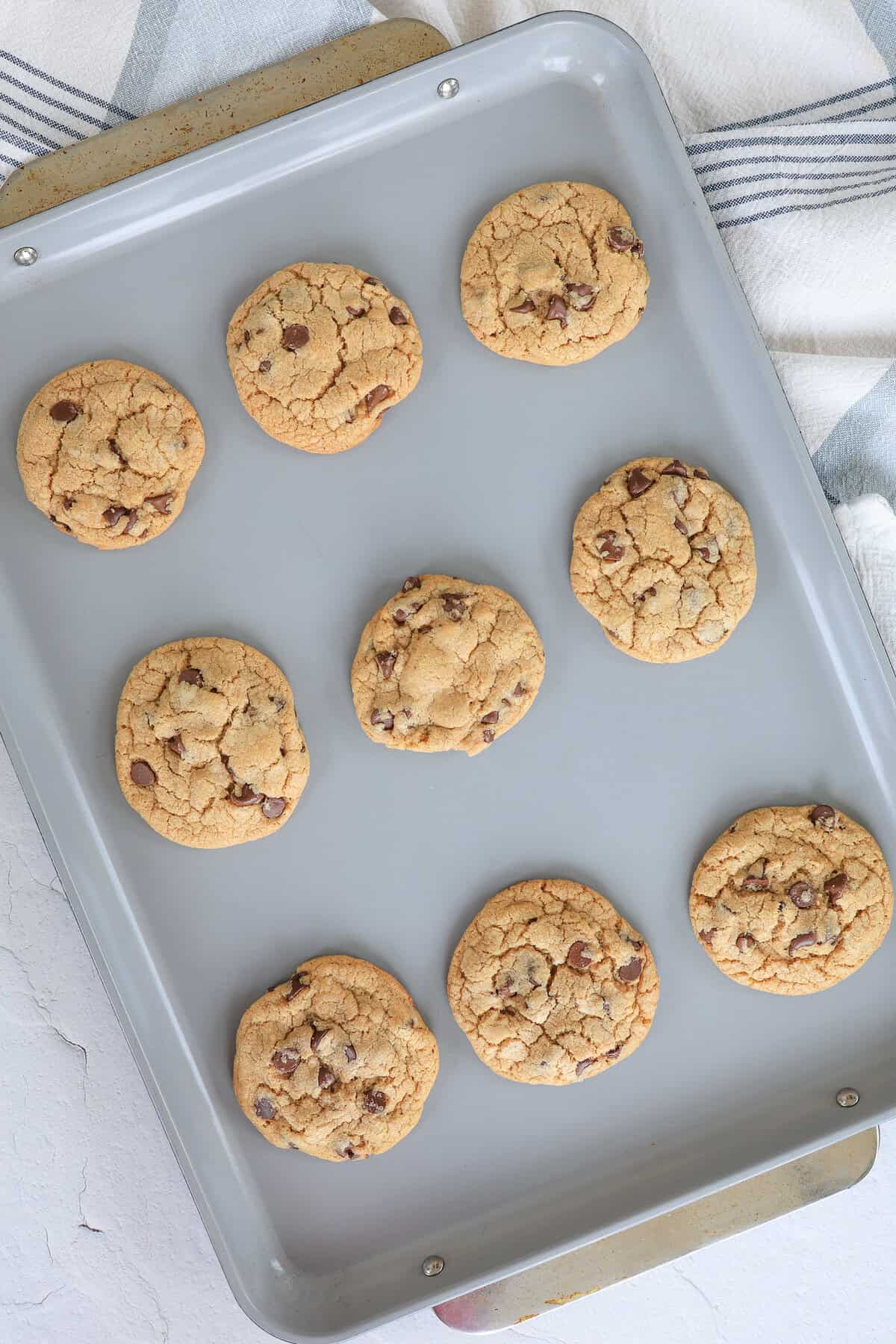 Chocolate chip cookies straight from the oven on a baking sheet.