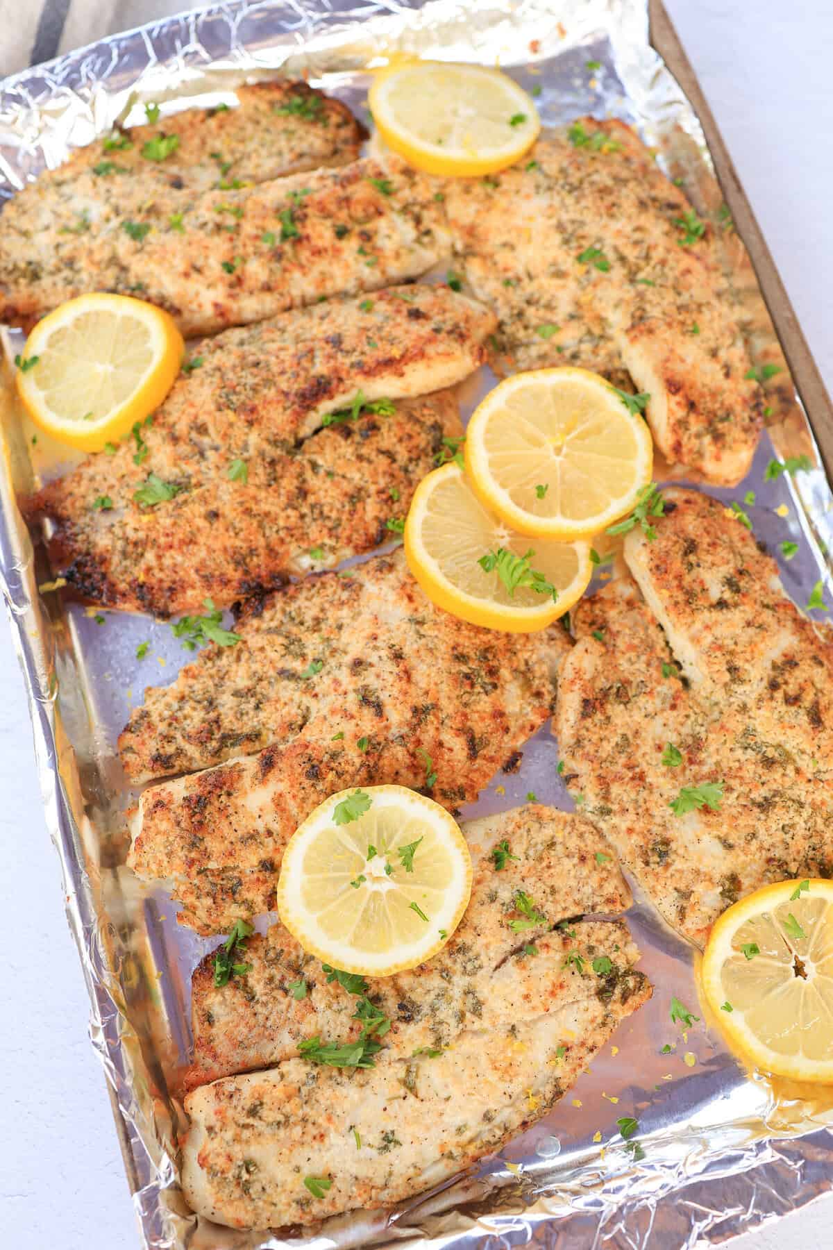 Broiled Parmesan tilapia filets on a foil-lined baking sheet with lemon slices and fresh parsley sprinkled on top.