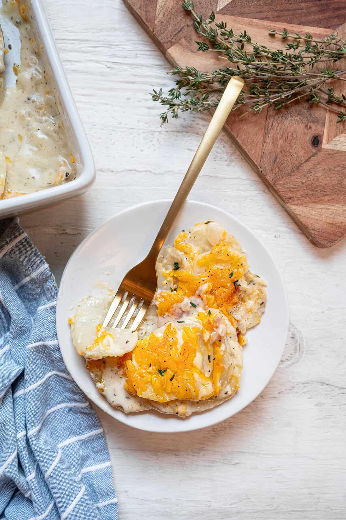 Gluten-free scalloped potatoes served on a small dish with a fork.