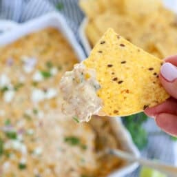 A tortilla chip being dipped into a Mexican street corn dip.